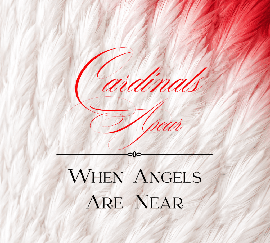 Cardinals Appear When Angels are Near